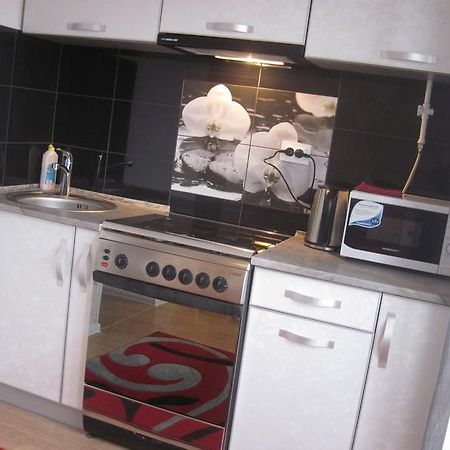 Vinnytsya Centre Apartment Vinnitsya Dış mekan fotoğraf